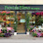Fiori da Elena di Pinzi Sara