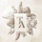 Tropicalia Atelier - Floristería en Málaga y Costa del Sol