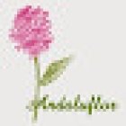 Floristería Andaluflor