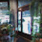 Fiori e piante L'annaffiatoio