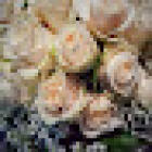 Gipsy fiori