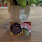 El Jardí d'Adriana Martorell