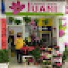 Floristería Juani