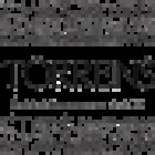 PAMPLONA Florist Torrens