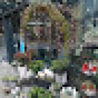 City Blumen