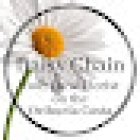 Daisy Chain Florist Orihuela Costa