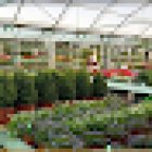 Vivero Florama Collado Mediano