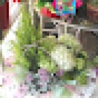 Flors i Plantes Maruja