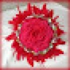 Floristeria Pètals Torredembarra