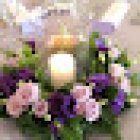 Floristerías La Mimosa