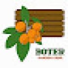 FLORS I PLANTES BOTER