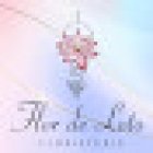 Flor De Loto Floristería Cuenca