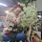 Florista luziflor