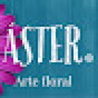 Áster Florista