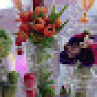 Kaza das Flores