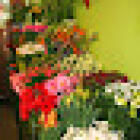 Regiflor