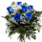 Floristería Carol Alzira