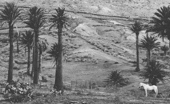 El Carrusel - Fotografía