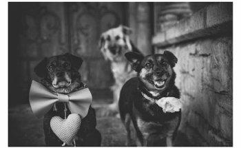 FLARE PROJECT, VISUAL ART & PHOTOGRAPHY