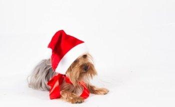 WELCOMEBABY- Fotografía Newborn e infantil en Valencia