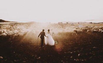 People Truelove Tellers - Fotógrafos de boda