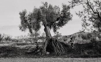 Fotógrafo de Familia Zaragoza | Marta Monreal Fotografía