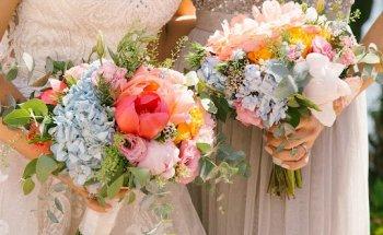 Sheila Roberts Photography