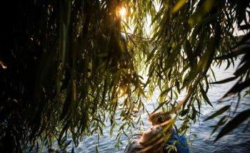 David Datzira - Fotògraf