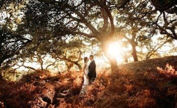 Fotógrafo de bodas - Roberto Pecino
