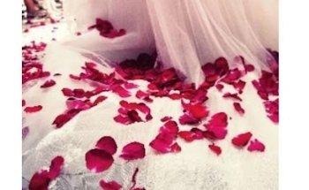 Fotógrafo Boda Alcolea del Rio Producciones Canama