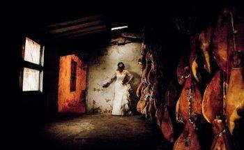 Iván Castillo Photography / Photography