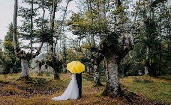 EL PARAGUAS AMARILLO Fotografía