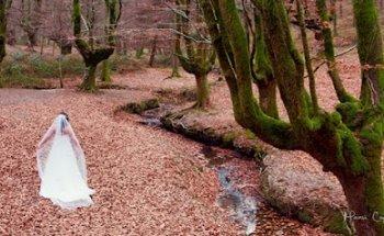 In Wedding Servicio Integral de bodas