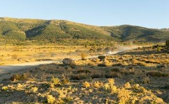 Estefanía pdp Fotógrafo Profesional