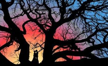 Fotógrafo internacional de bodas en Ponferrada,León Roberto Vega