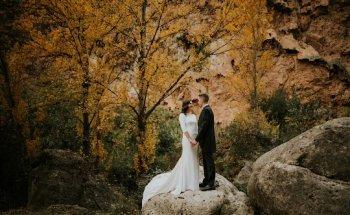 Fotografía Pura Vida