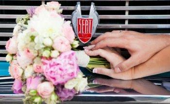 Lourdes Gamero Photography