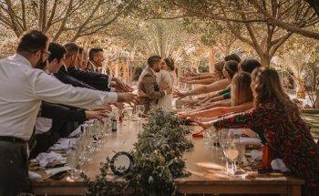 White Bull Fotografía