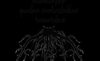 Alex Fresneda Videografo