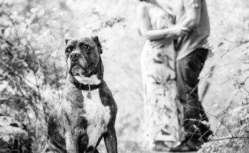 Miguel Angel Martínez - Fotógrafo Profesional