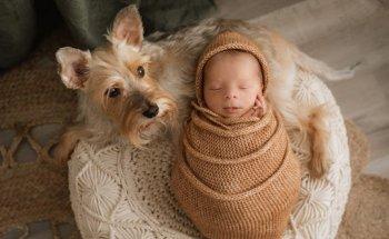 SERGIO GISBERT | FOTOGRAFÍA DE BODA Y FAMILIA