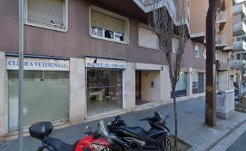 Alpha Productions Company