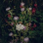 Alfredo Esteban Photography