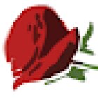 Rosita de Pitiminí - Fotografía Artística