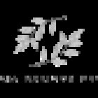 NOELIA MARIDON FOTOGRAFIA