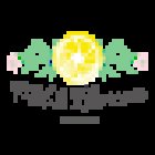 Mel & Llimona fotografia