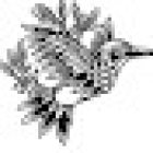 Lukas Piatek Photography