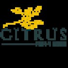CITRUS FOTOGRAFIA