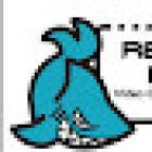 Retro Shark Gaming