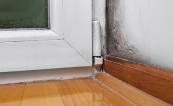 NOVANOR - Empresa de Humedades